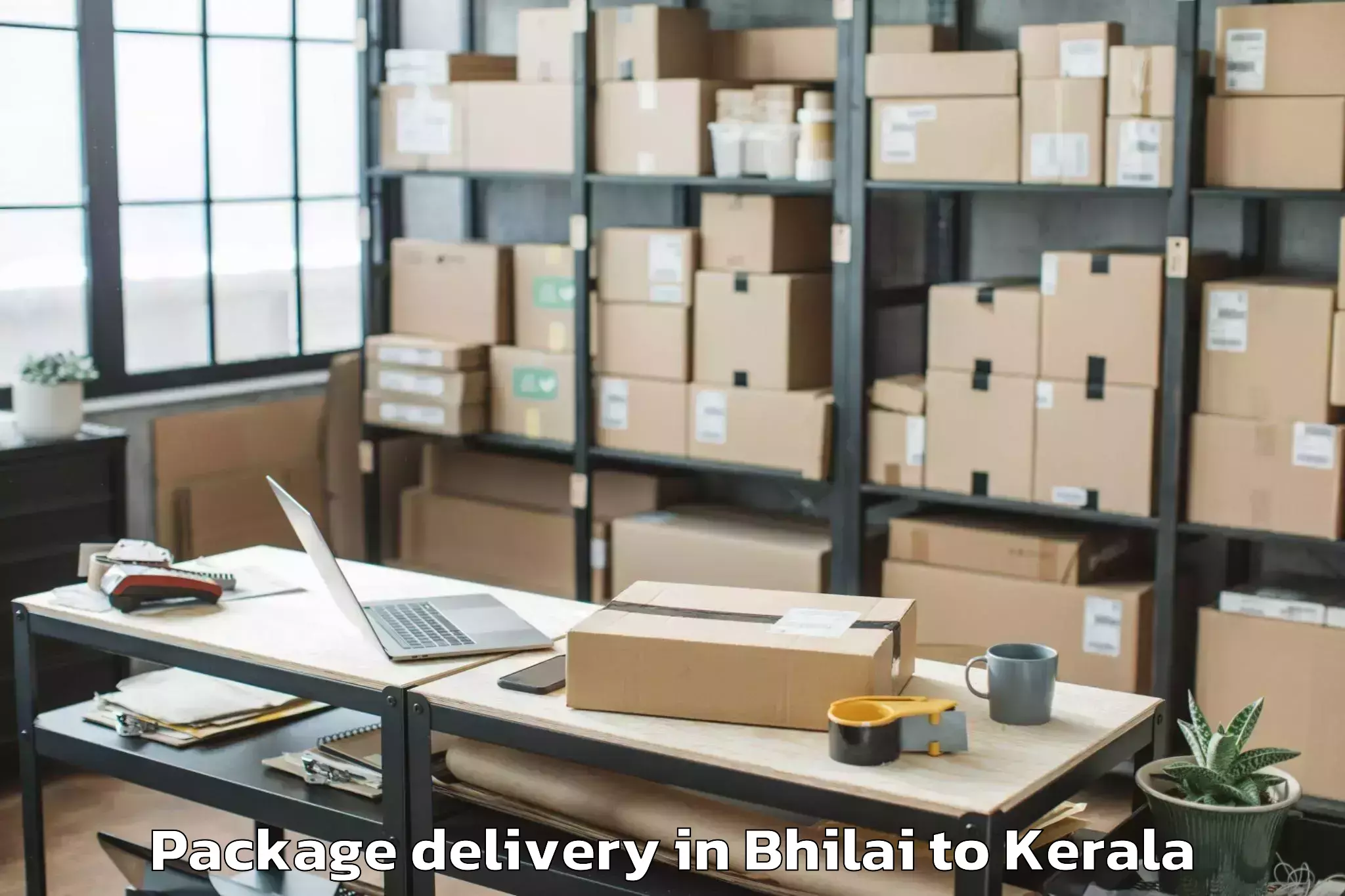 Book Your Bhilai to Selex Mall Thrissur Package Delivery Today